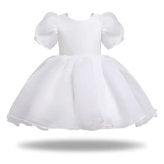 Girls Casual Puff Sleeve Princess Dress