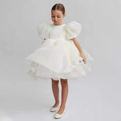 Girls Casual Puff Sleeve Princess Dress