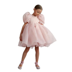 Girls Casual Puff Sleeve Princess Dress